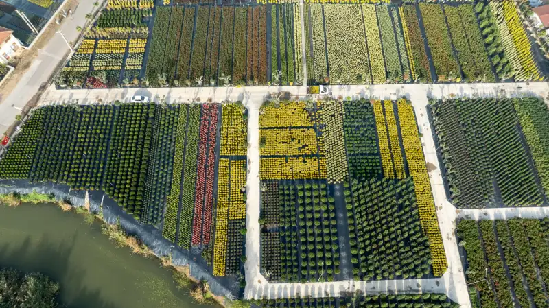 安防监控滤光片与窗口片:技术特性对比及应用场景分析
